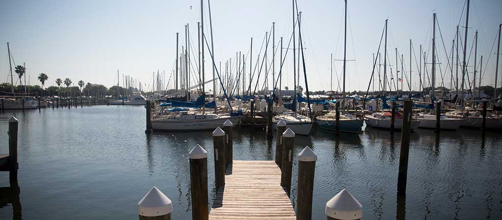 Calm marina with rows of docked sailboats and tall masts along a wooden pier under a clear blue sky, peaceful waterfront mood